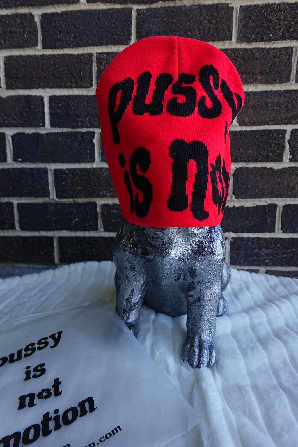 PNM Beanie