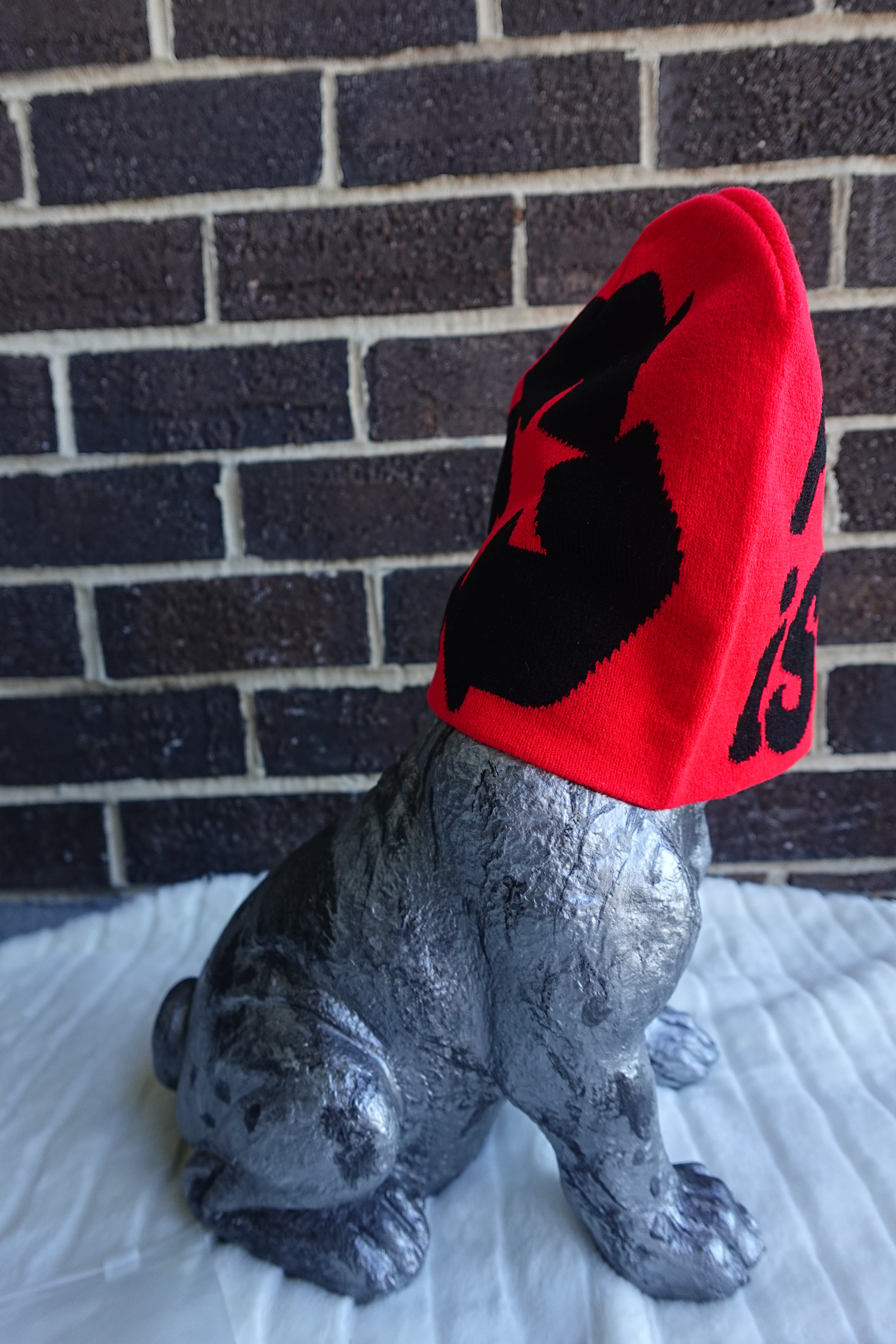 PNM Beanie