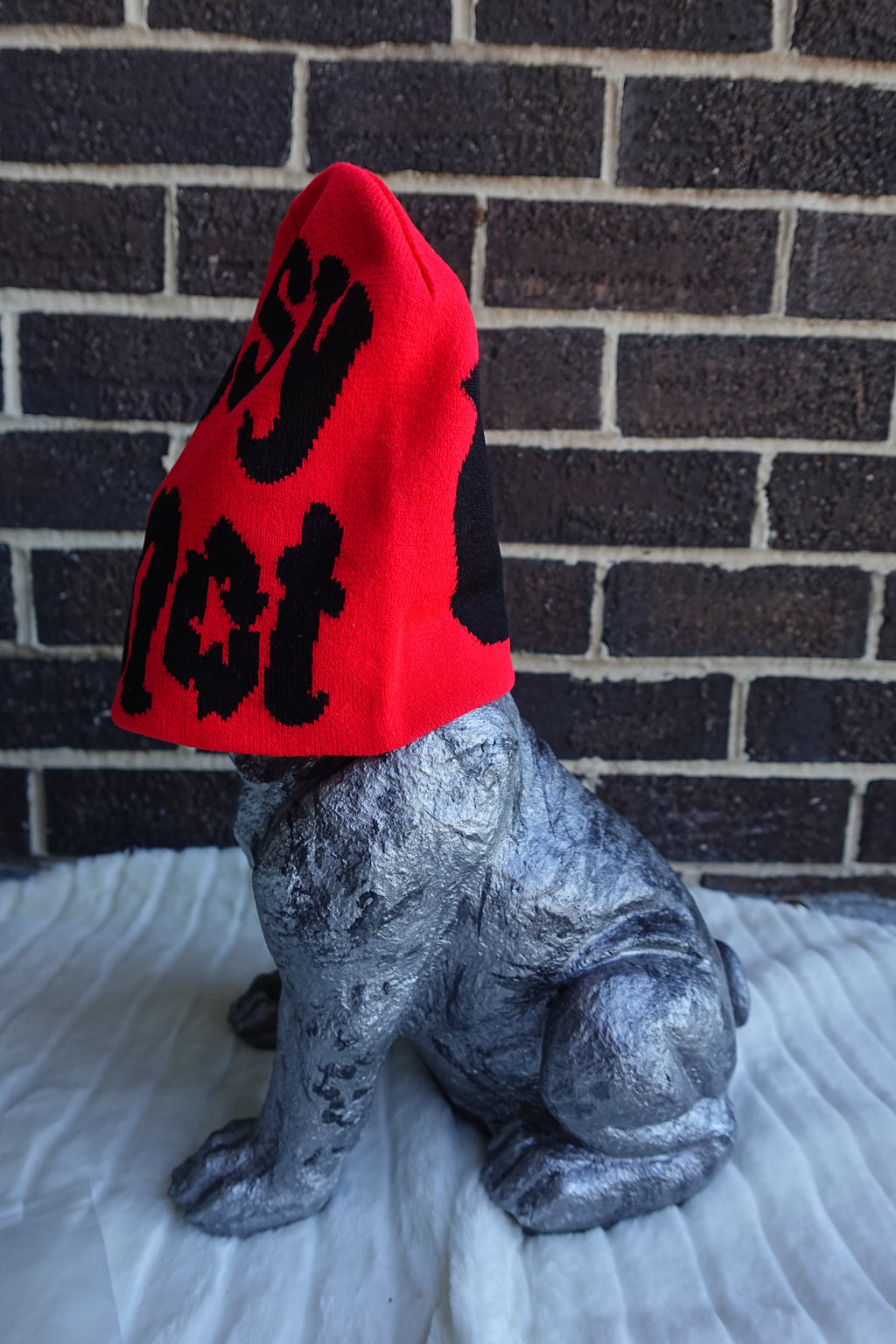 PNM Beanie