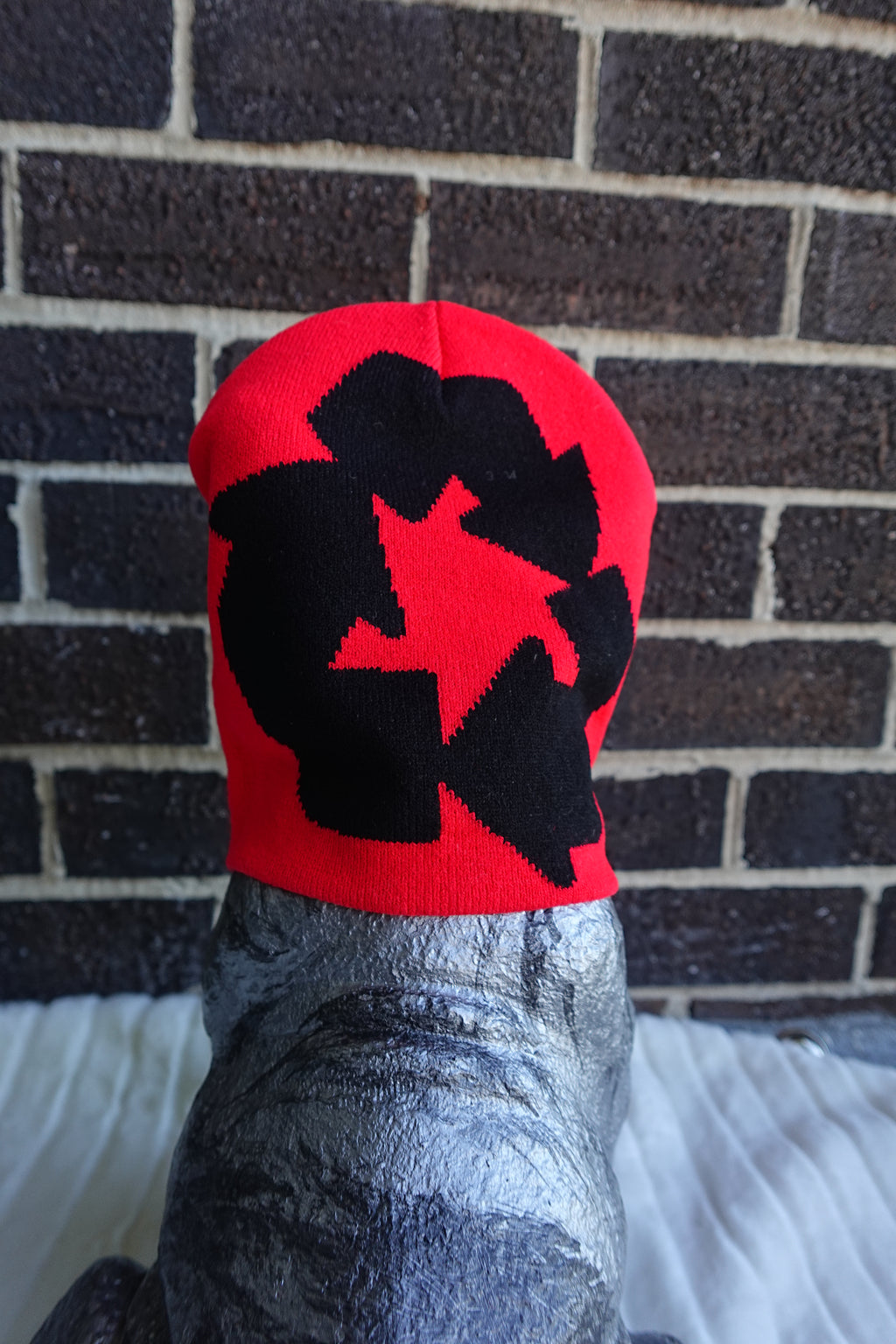 PNM Beanie
